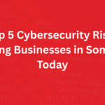 Cybersecurity Risks in Somalia