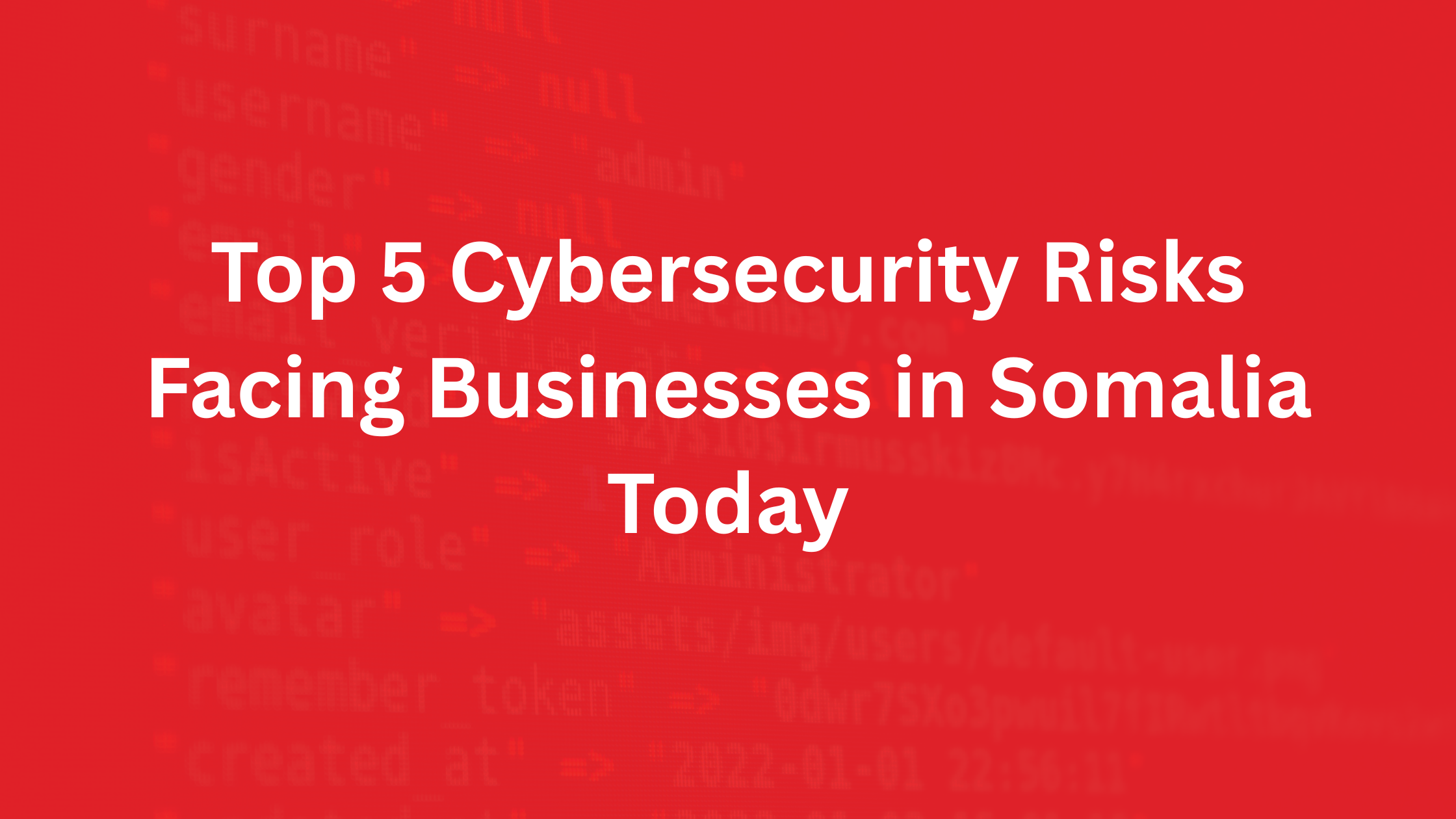 Cybersecurity Risks in Somalia